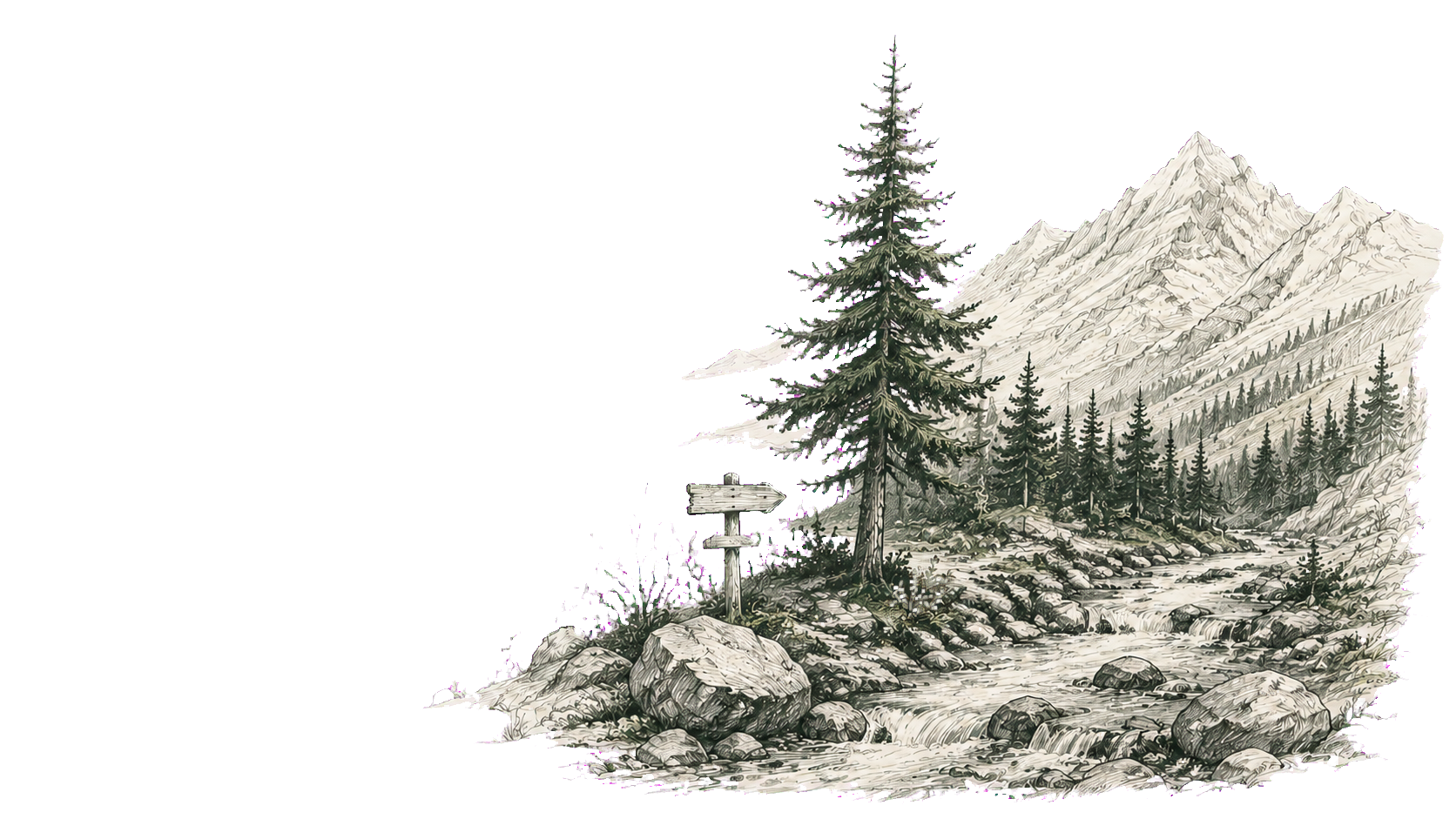 A field-guide drawing of a pine-lined mountain trail